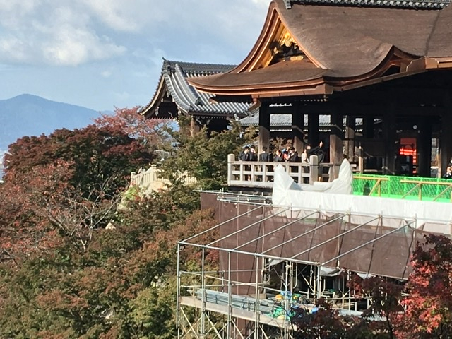 349f08bbc9964d2d9fcb4a128b1e7508