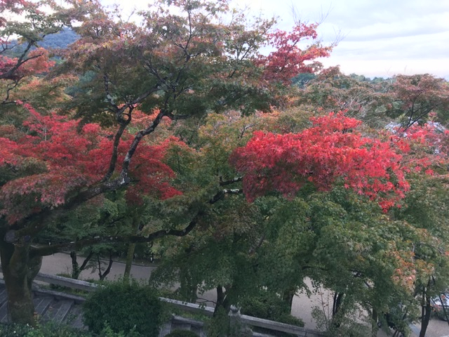 90316f546d6f46a59f3b9f92a6cc96c1