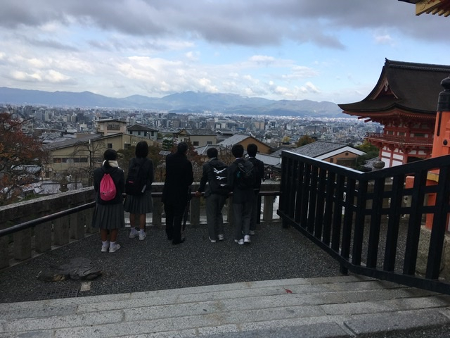 90e53854a8db4d598556d9a80d8773f7