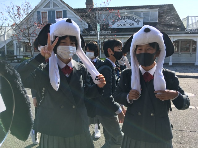 66e8e48350b144ccb3fa85ba797de81f