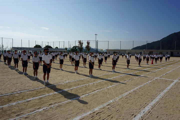 Dsc07991 Dsc07991