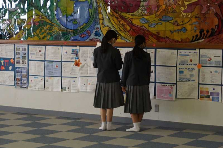 Dsc08264 Dsc08264
