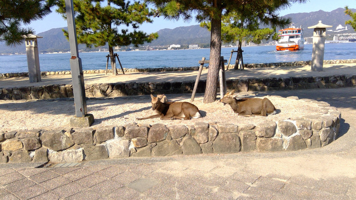 Win_20221107_09_42_18_pro